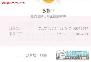 免审核贷款秒下款口子如何快速申请及风险规避