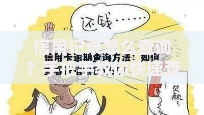 信用记录怎么查询？手把手教你快速查征信，避免踩坑