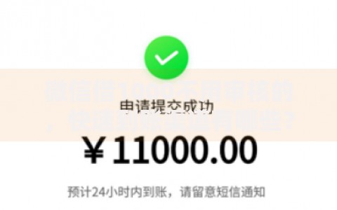 微信借1000不用审核的，快速到账渠道有哪些？