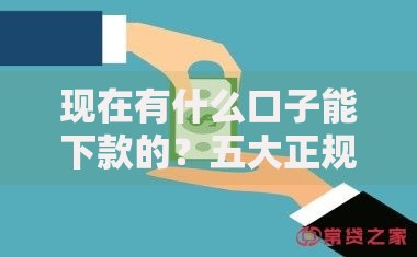 现在有什么口子能下款的？五大正规渠道深度解析