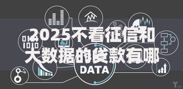 2025不看征信和大数据的贷款有哪些？最新合规渠道解析