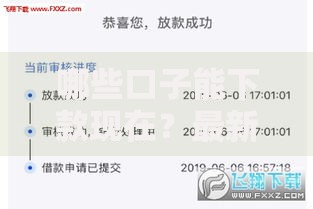 哪些口子能下款现在？最新可靠贷款渠道解析