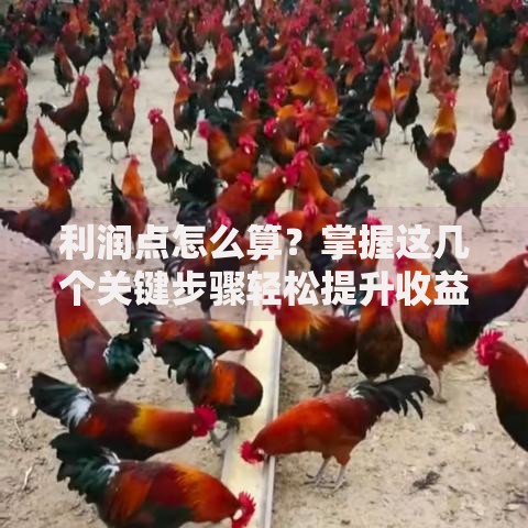 利润点怎么算？掌握这几个关键步骤轻松提升收益