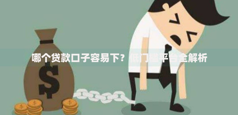 哪个贷款口子容易下？低门槛平台全解析