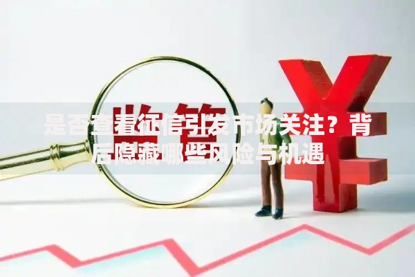 是否查看征信引发市场关注？背后隐藏哪些风险与机遇