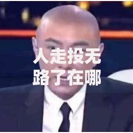人走投无路了在哪能借钱？合法渠道权威解答
