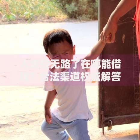 人走投无路了在哪能借钱？合法渠道权威解答
