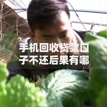 手机回收贷款口子不还后果有哪些？深度解析风险与应对