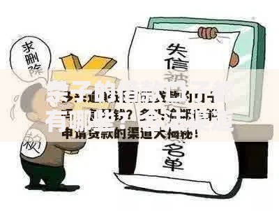 条子的借款口子都有哪些？合法渠道深度解析