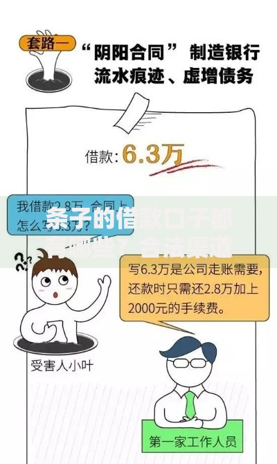 条子的借款口子都有哪些？合法渠道深度解析