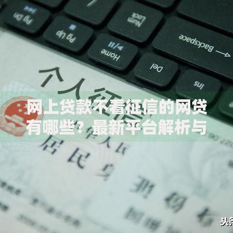 网上贷款不看征信的网贷有哪些？最新平台解析与申请指南