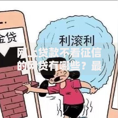 网上贷款不看征信的网贷有哪些？最新平台解析与申请指南