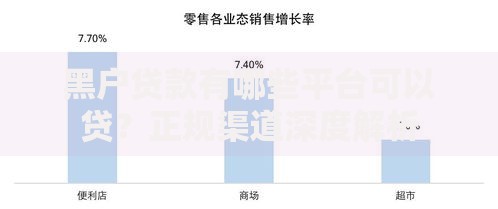 黑户贷款有哪些平台可以贷？正规渠道深度解析