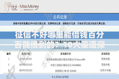 征信不好哪里能借钱百分百能借到的？10大渠道深度解析