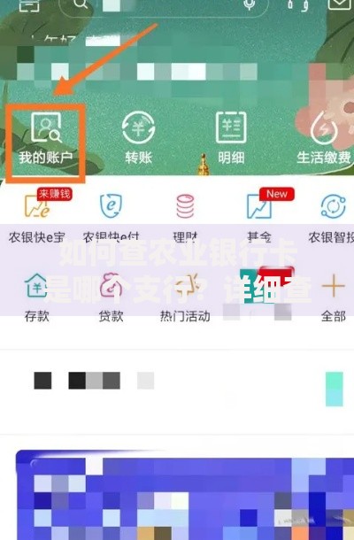 如何查农业银行卡是哪个支行？详细查询方法分享