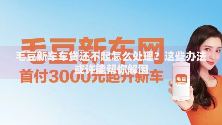 毛豆新车车贷还不起怎么处理？这些办法或许能帮你解围
