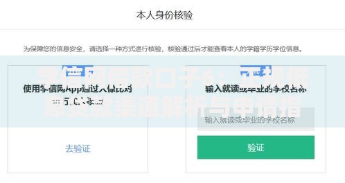 学信网借款口子6：正规低息贷款渠道解析与申请指南