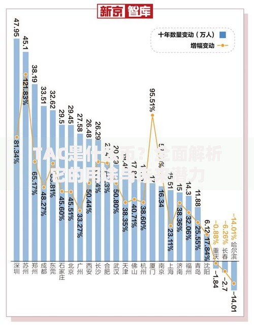 TAC是什么币？全面解析它的用途与未来潜力