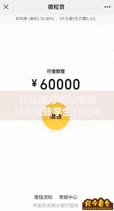 什么地方可以借钱马上到账学生？如何快速申请安全可靠渠道推荐