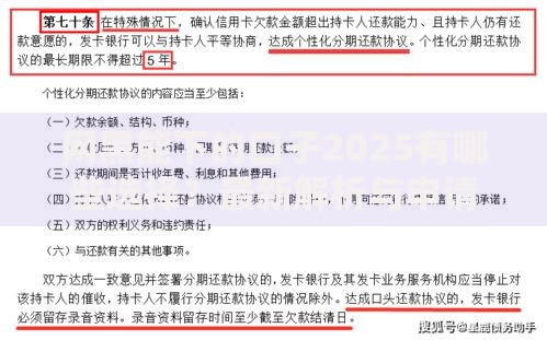 网黑能下的口子2025有哪些选择？最新解析与申请攻略