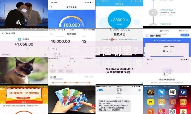 大圣系列口子入口在哪里？如何申请安全正规贷款渠道
