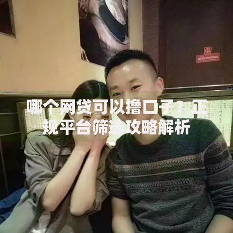 哪个网贷可以撸口子？正规平台筛选攻略解析