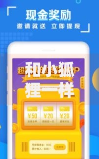和小狐狸一样的贷款口子有哪些特点？如何安全申请？