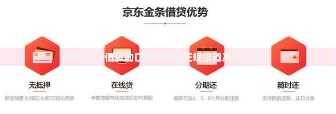 用京东分借款的口子有哪些正规渠道及申请流程