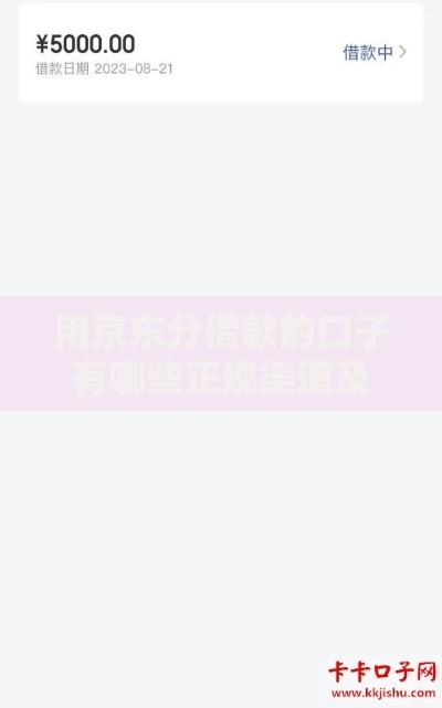 用京东分借款的口子有哪些正规渠道及申请流程