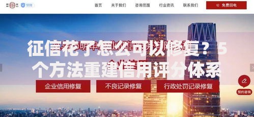 征信花了怎么可以修复？5个方法重建信用评分体系