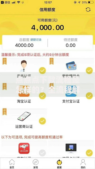 点点点下款流程是怎样的？全流程解析与操作指南