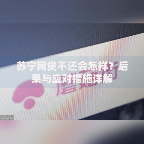 苏宁网贷不还会怎样？后果与应对措施详解