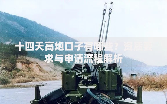十四天高炮口子有哪些？资质要求与申请流程解析