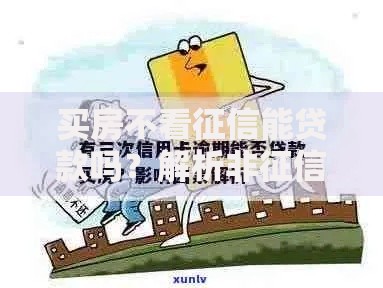 买房不看征信能贷款吗？解析非征信贷款渠道与风险