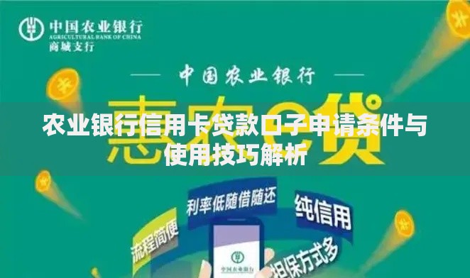 农业银行信用卡贷款口子申请条件与使用技巧解析