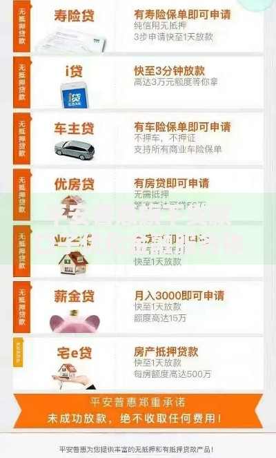 平安普惠旗下贷款口子优化金融服务体验，如何满足多样化融资需求？