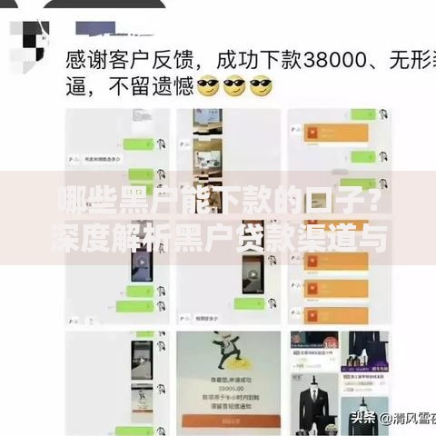 哪些黑户能下款的口子？深度解析黑户贷款渠道与申请技巧