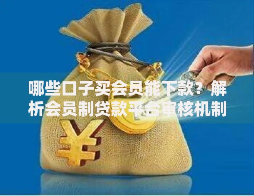 哪些口子买会员能下款？解析会员制贷款平台审核机制