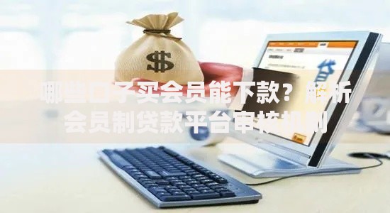 哪些口子买会员能下款？解析会员制贷款平台审核机制