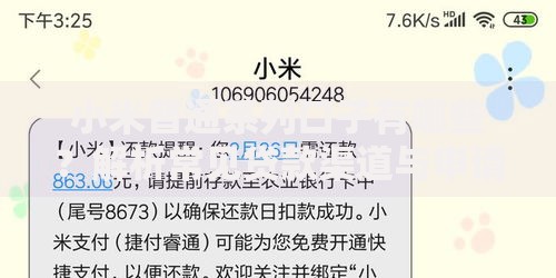 小米普通系列口子有哪些？解析常见贷款渠道与申请要点