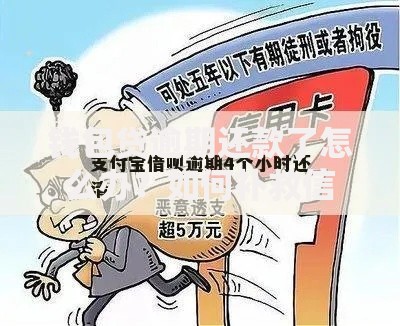钱包贷逾期还款了怎么办？如何补救信用损失？