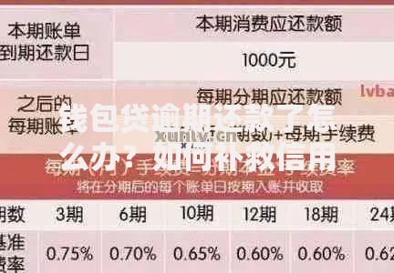 钱包贷逾期还款了怎么办？如何补救信用损失？