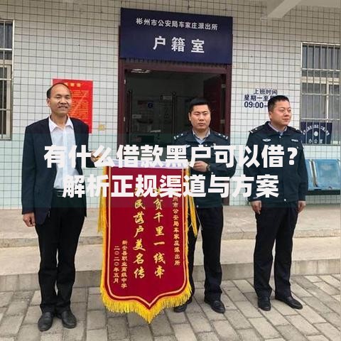 有什么借款黑户可以借？解析正规渠道与方案