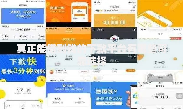 真正能借到钱的下款平台有哪些可靠选择