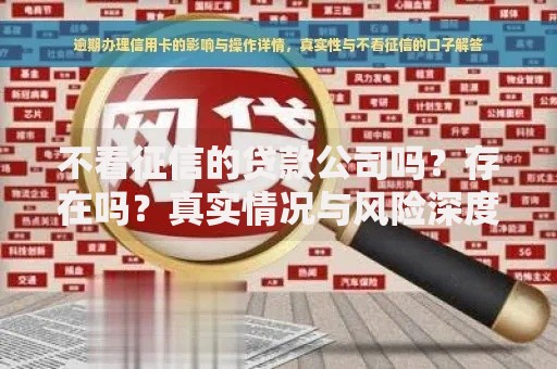 不看征信的贷款公司吗？存在吗？真实情况与风险深度解析
