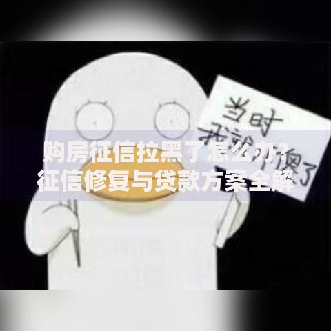 购房征信拉黑了怎么办？征信修复与贷款方案全解析
