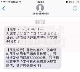 民生信用卡内的借款口子有哪些申请条件与使用技巧