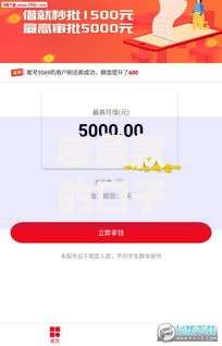 应急款的口子在哪个入口?如何快速找到正规渠道 应急款的口子在哪个入口?如何快速找到正规渠道