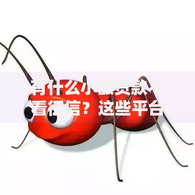 有什么小额贷款不看征信？这些平台快速下款无压力