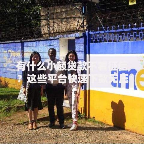 有什么小额贷款不看征信？这些平台快速下款无压力